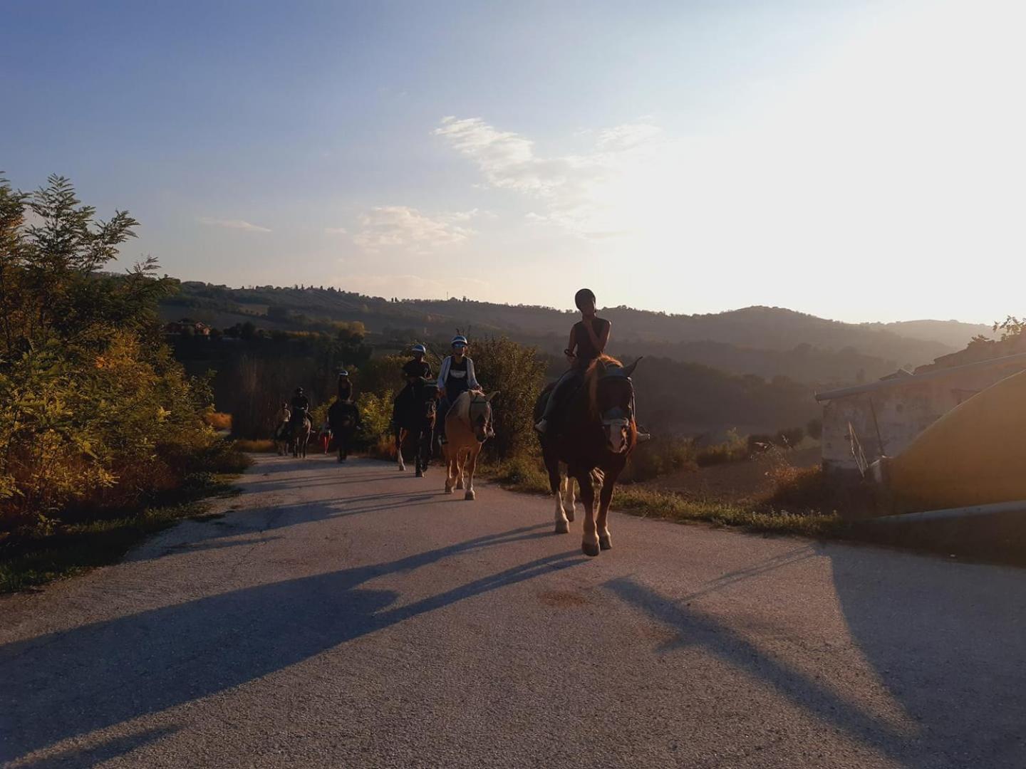 Discover Tortoreto Екстер'єр фото